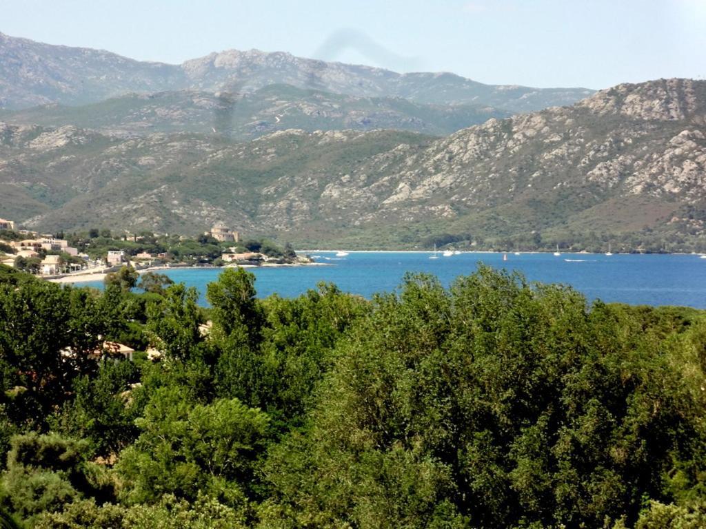 Saint-Florent, Agreable Studio Climatise, Vue Panoramique Sur Le Golfe מראה חיצוני תמונה